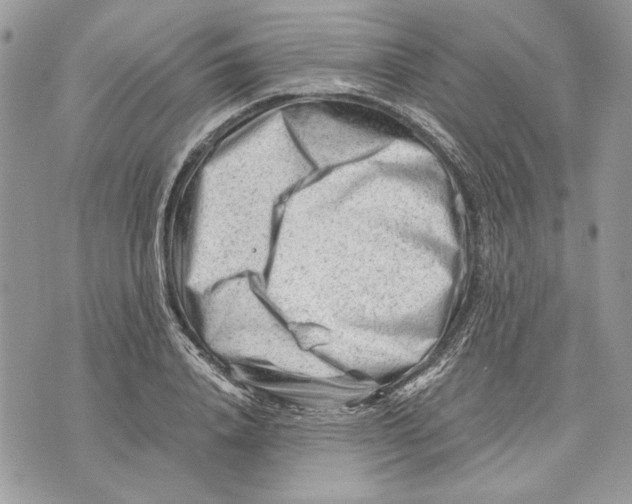 X0000070830840200607071739