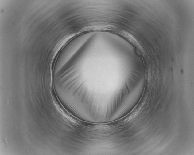 X0000070830844200607071739