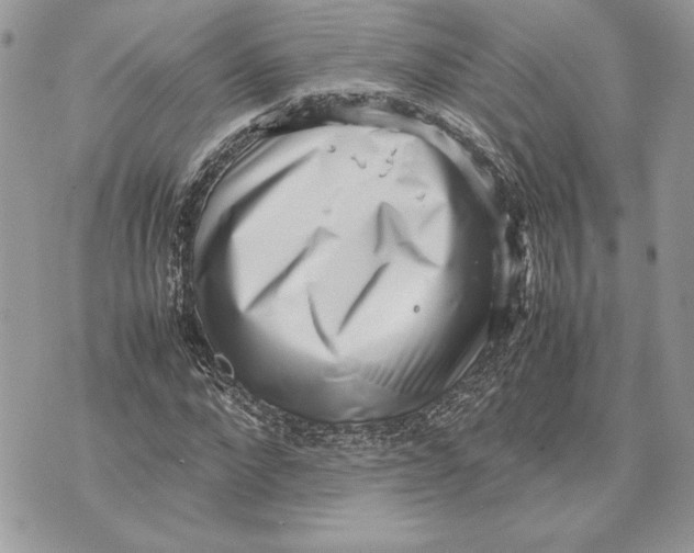 X0000070830872200607071739