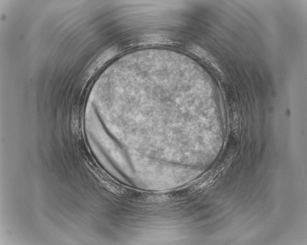 X0000070830882200607071739