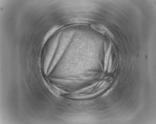 X0000070830893200607071739