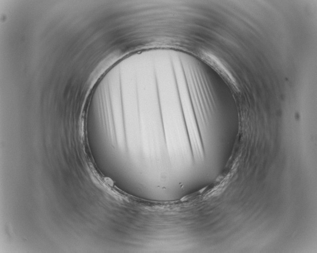 X0000070830900200607071738