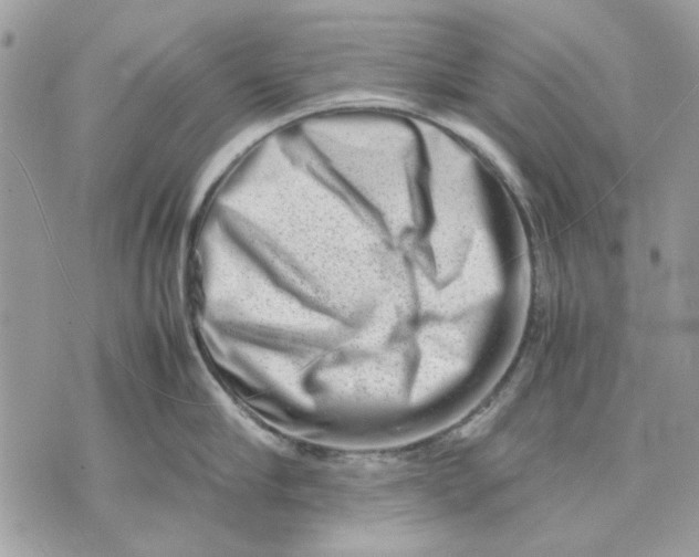 X0000070830910200607071738