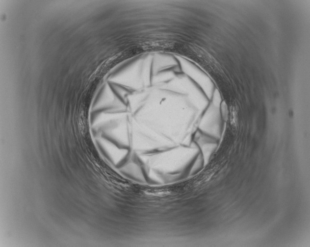 X0000070830915200607071738