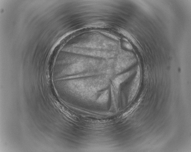 X0000070830923200607071738