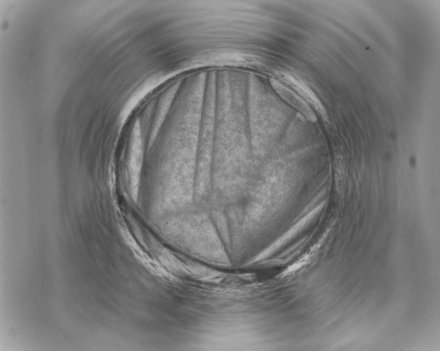 X0000070830944200607071738