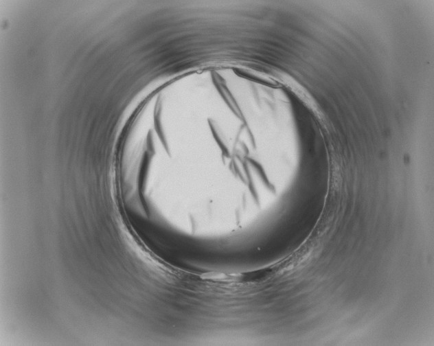 X0000070830955200607071738