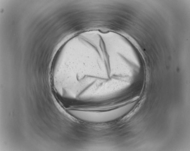 X0000070830957200607071738