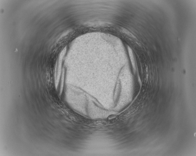 X0000070830966200607071737