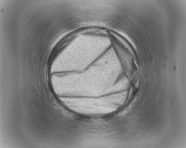 X0000070830983200607071737