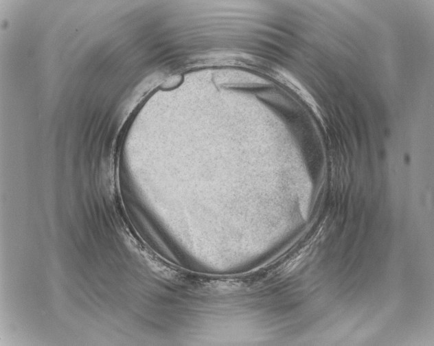 X0000070830994200607071737