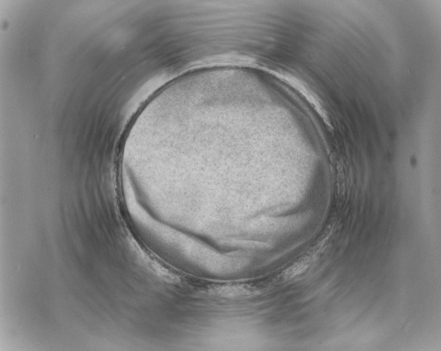 X0000070830998200607071737