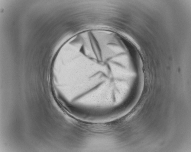 X0000070831007200607071737