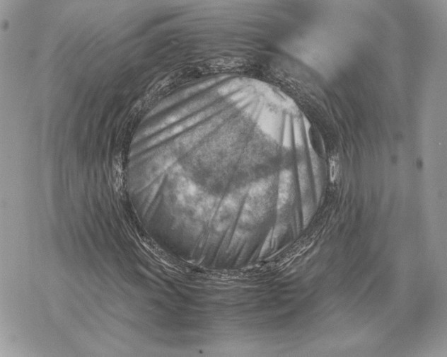 X0000070831011200607071736