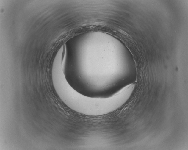 X0000070831014200607071736