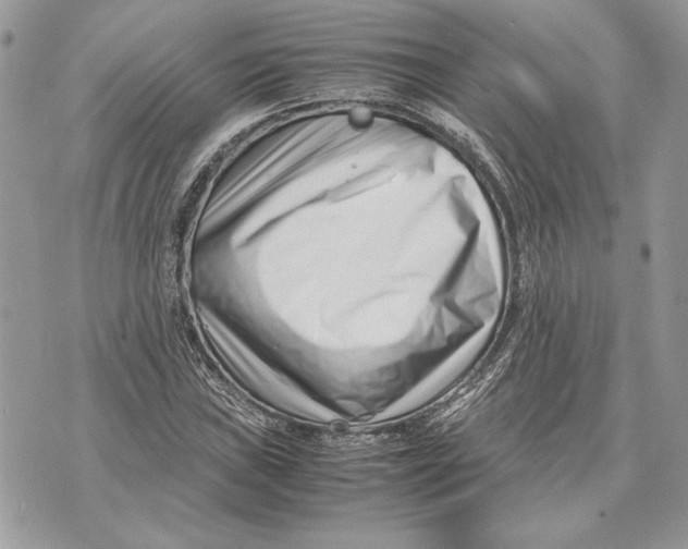 X0000070831019200607071736