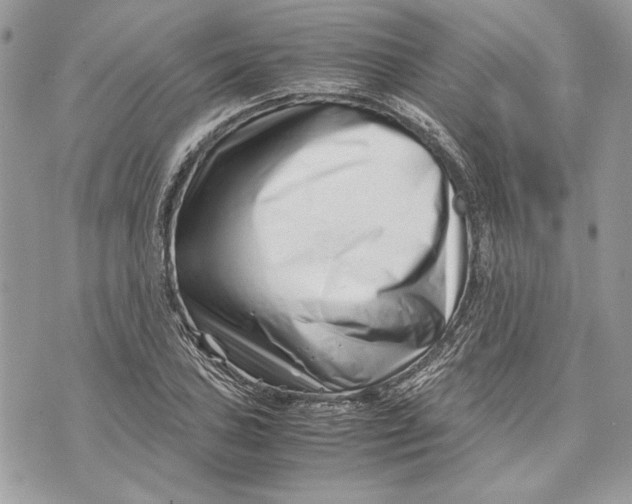 X0000070831027200607071736