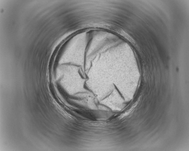 X0000070831028200607071736