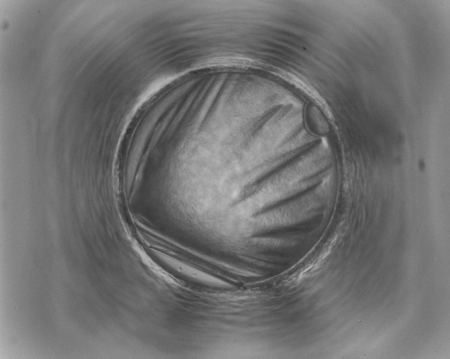 X0000070831037200607071736