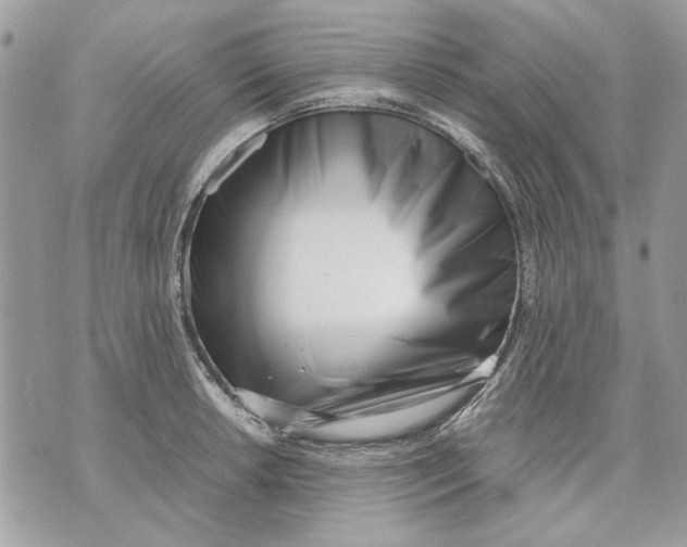 X0000070831042200607071736