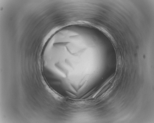 X0000070831054200607071737