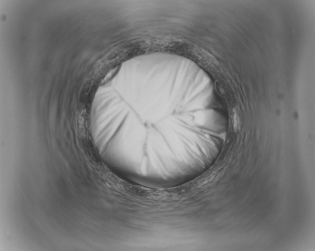 X0000070831059200607071736