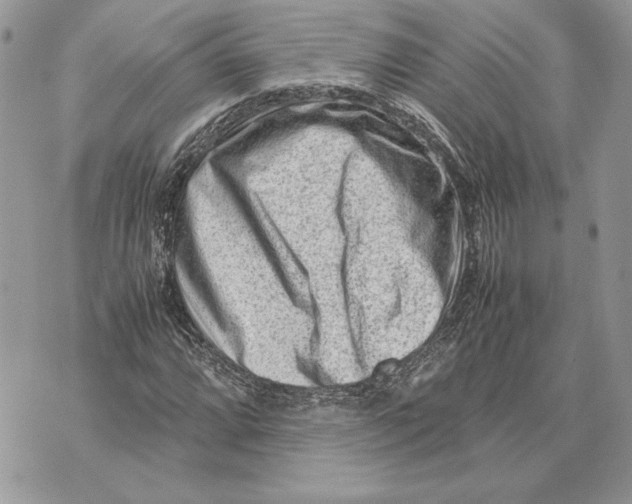 X0000070831064200607071736