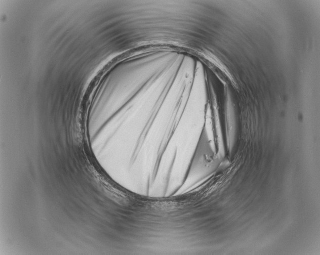 X0000070831068200607071736