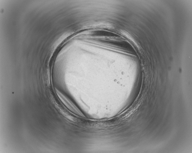 X0000070831079200607071736