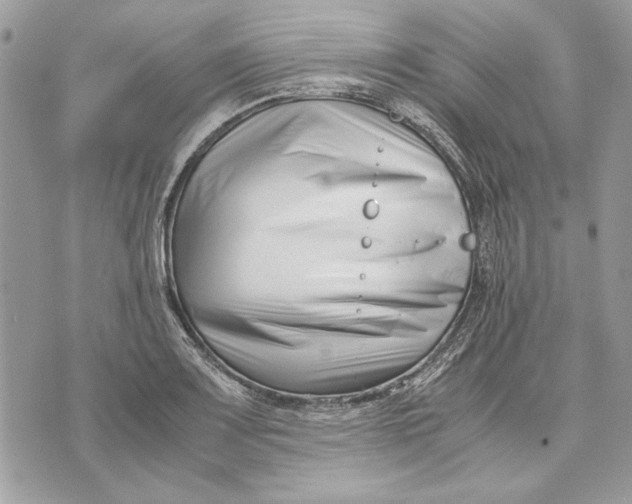 X0000070831083200607071735