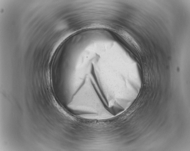 X0000070831092200607071735