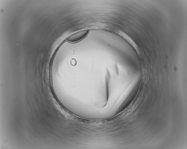 X0000070831099200607071735
