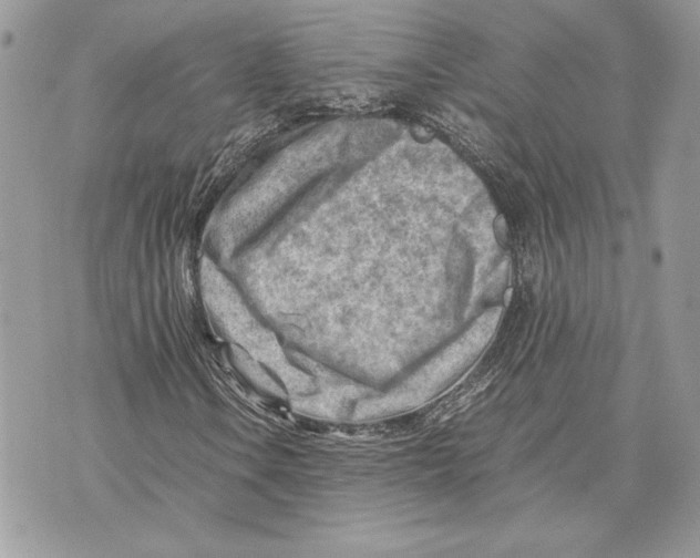 X0000070831106200607071734
