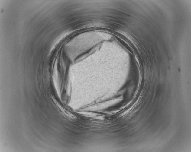 X0000070831115200607071735