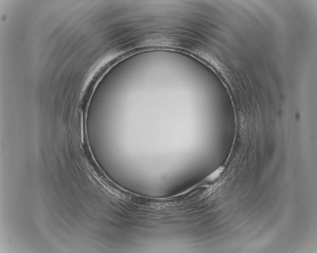 X0000070831123200607071735