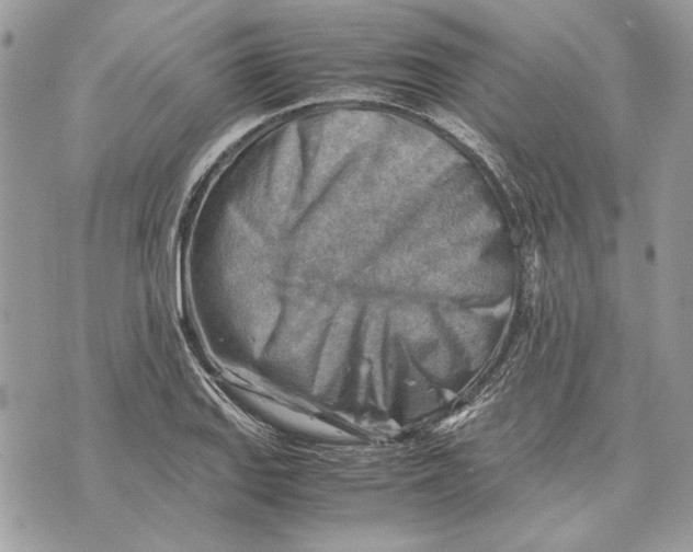 X0000070831127200607071735