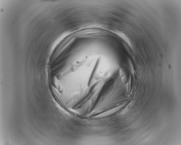 X0000070831151200607071735