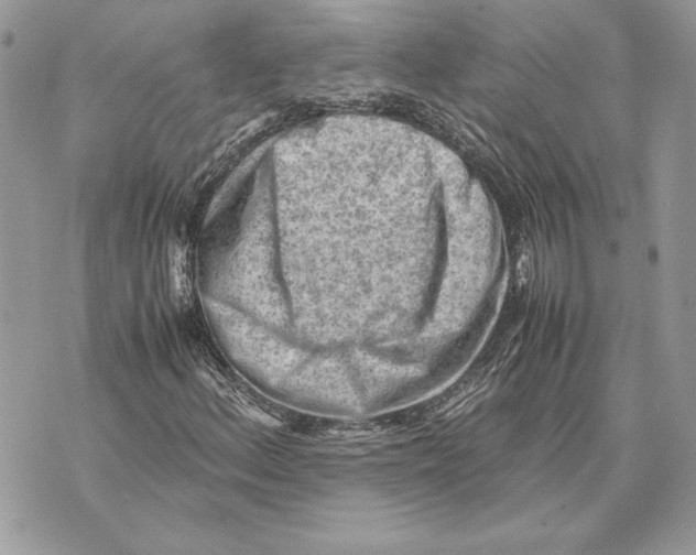 X0000070831156200607071734