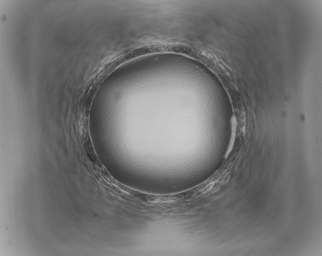 X0000070831157200607071734