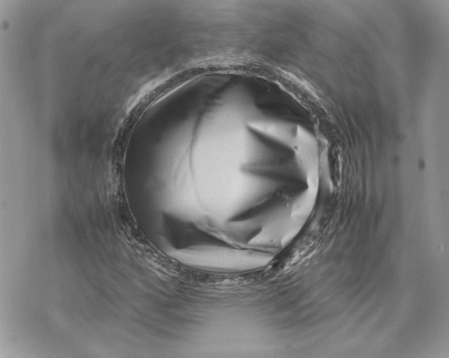 X0000070831160200607071734