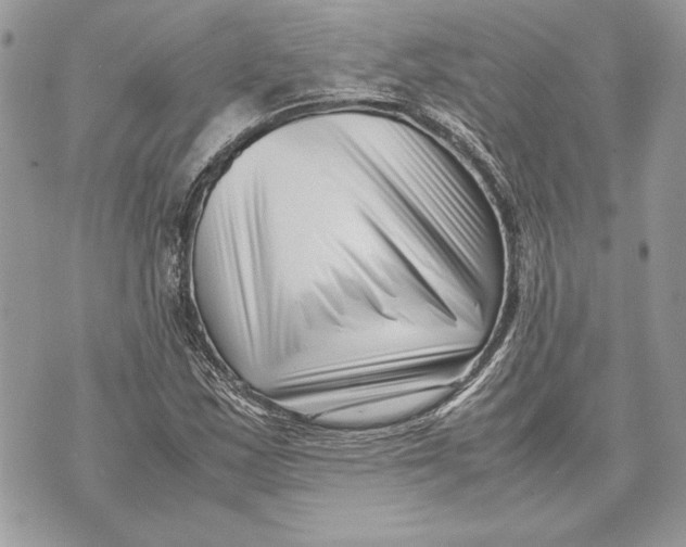 X0000070831163200607071734