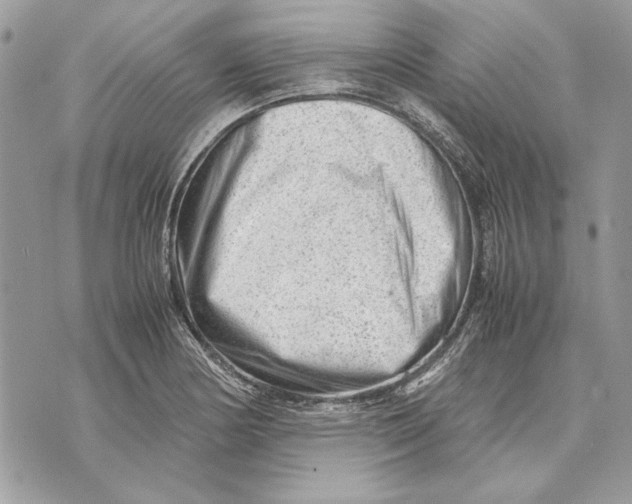 X0000070831178200607071734