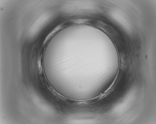 X0000070831198200607071734