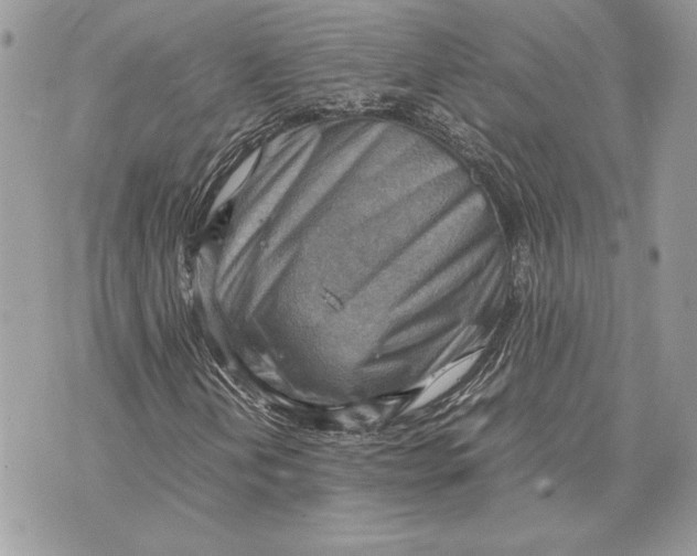 X0000070831202200607071733