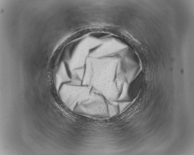 X0000070831208200607071733