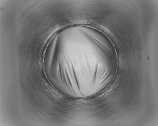 X0000070831212200607071733