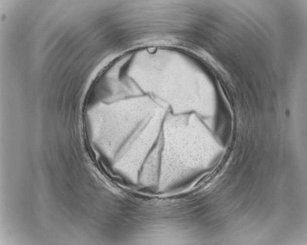 X0000070831240200607071733
