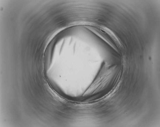 X0000070831244200607071733