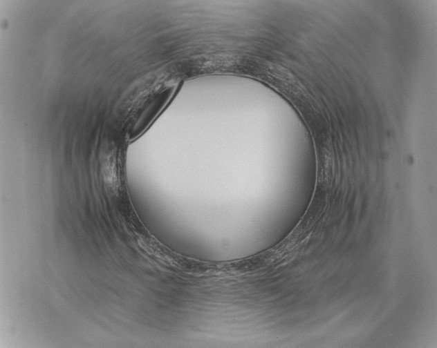 X0000070831250200607071733