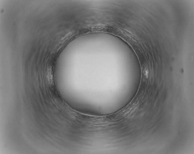 X0000070831252200607071733